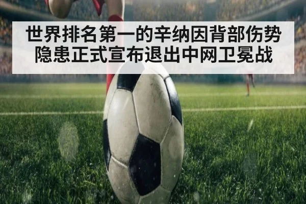 世界排名第一的辛纳因背部伤势隐患正式宣布退出中网卫冕战